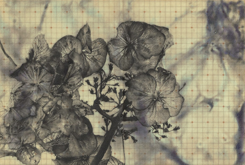     crayon / papier paraffin&eacute; - 14 x 20,5 cm
